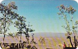 Hawaii Mauna Loa Panorama