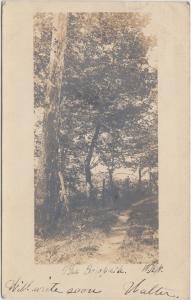 Ohio Real Photo RPPC Postcard 1907 CINCINNATI The Cowpath Trail