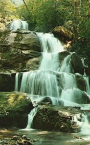 Vintage Postcard 1959 Laurel Falls Great Smoky Mountains National Park Waterfall