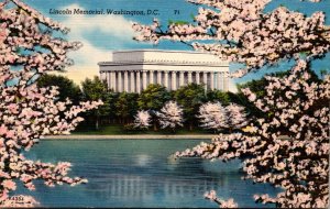 Washington D C Lincoln Memorial and Cherry Blossoms 1954