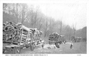 Transportation of Wood Geo I Treyz - Cooks Falls, New York NY  