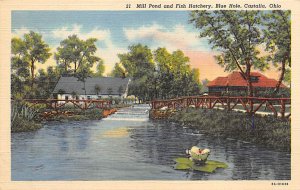 Mill Pond, Fish Hatchery, Blue Hole Castalia, Ohio OH