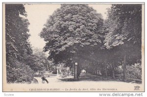 Châlons-sur-Marne , France , , 00-10s : Le Jardin du Jard, Alle des Marronniers