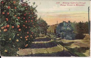 Steam Locomotive, CA Orange Groves, Ca. 1910's, Fruit Trees in Winter, Local Pub