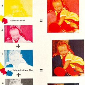Four Color Printing Techniques 1940s Colorplate Combinations Print DWT12A