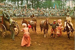 Jackson, New Jersey GREAT ADVENTURE AMUSEMENT PARK  Wild West Show  4X6 Postcard