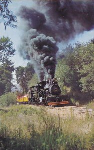Roaring Camp & Big Trees Narrow Gauge Railroad Steam Locomotive Dixiana S...