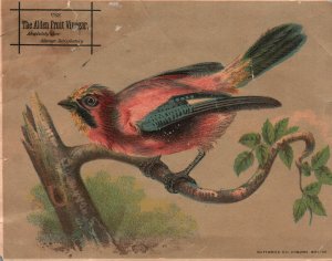 1880s-90s The Alden Fruit Vinegar J.W. Luckenbach Corner Store Trade Card