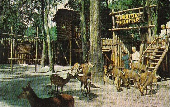 Florida Silver Springs Florida Frontier 1962