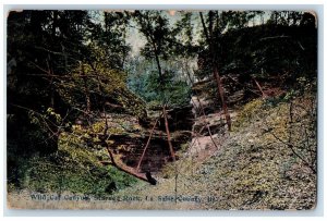 c1910 Wild Cat Canyon Starved Rock La Salle County Illinois IL Postcard