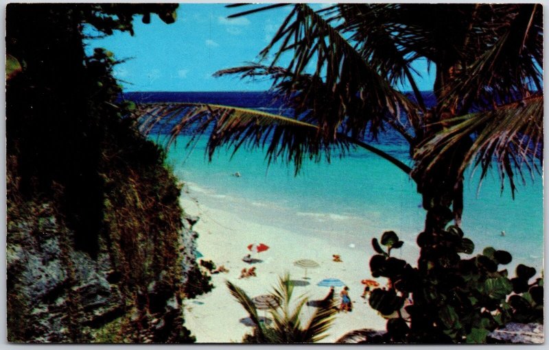 Coral Beach South Shore of Paget Pink Coral Sands Vacation Spot Bermuda Postcard