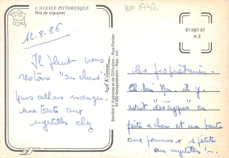 BF1742 nid de cignones alsace    France