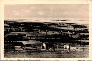 Canada Newfoundland Seen on Marine Drive Vintage Postcard C041