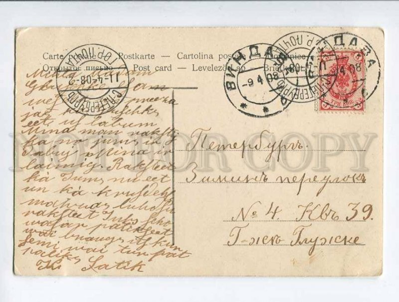 3048952 CHICKEN in Egg VIOLETS vintage EASTER RPPC Russia