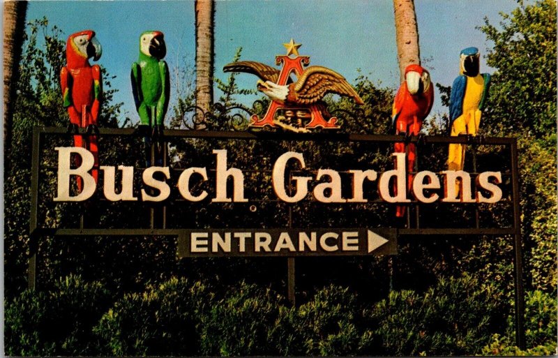 Entrance Sign with Parrots, Busch Gardens Tampa FL Vintage Postcard M10