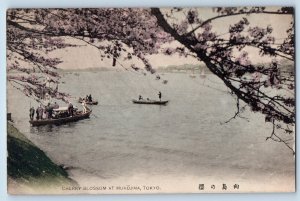 Tokyo Japan Postcard Cherry Blossom at Mukojima c1905 Antique  Unposted