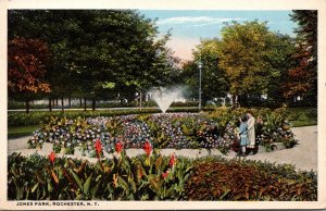 New York Rochester Jones Park Showing Fountain 1916