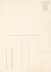 The inclined tower Pisa Italy postcard