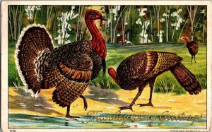 Turkeys, Thanksgiving Greetings Embossed c1909 Vintage Postcard L70