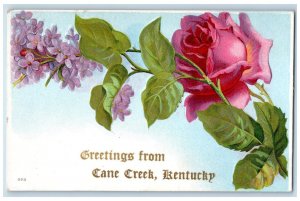 c1910 Greetings from Cane Creek Kentucky KY Embossed Floral Postcard