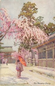 Japan - The Drooping Cherry 03.90