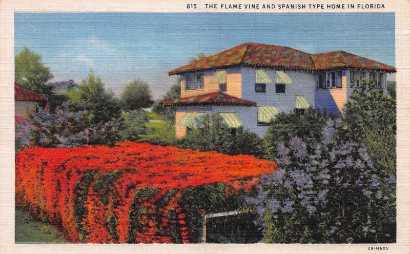 The Flame Vine and Spanish Type Home in Florida, Early Postcard, Unused