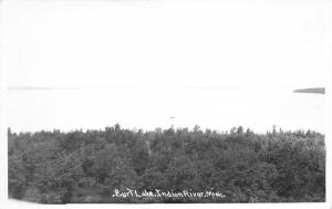 Indian River Michigan~Burt Lake~Bird's Eye View Looking Over Pines~1940s RPPC