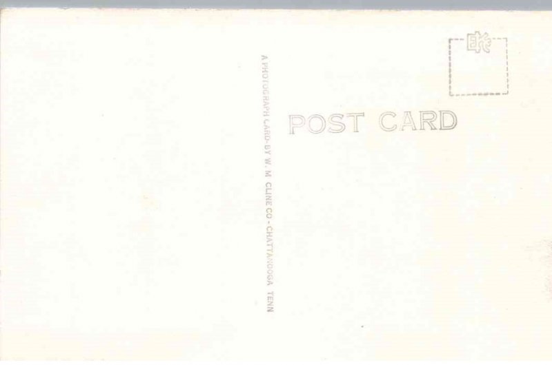 RPPC - Florida - The Marine Studios - Marineland - c1940