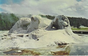 The Grotto Geyser in Upper Geyser Basin Interesting Formations Yellowstone Park