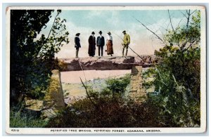 c1940s Petrified Tree Bridge Petrified Adamana Arizona AZ Unposted Postcard