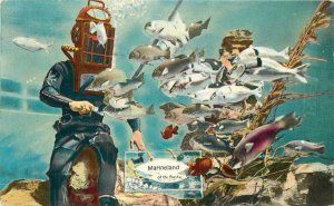 Amusement Marineland California 1956 Divers artist impression Postcard 21-3866