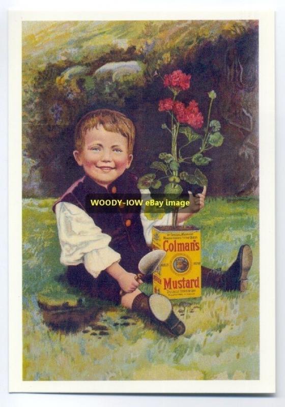 ad1692 - Colman's Mustard - modern advert postcard