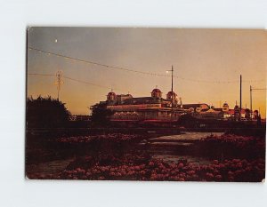 Postcard South Parade Pier Floodlit South Sea Portsmouth England