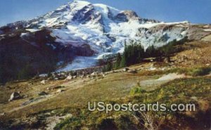 Glacier Vista - Mt. Rainier National Park, Washington