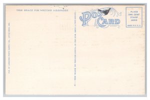 Little Rock Ark. Arkansas State Capitol Postcard