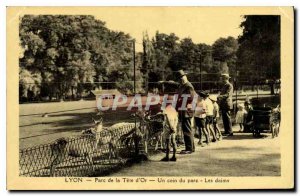 Old Postcard Lyon Parc de la Tete Gold A corner of the park The Deer Children