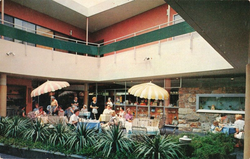 1960's Milton F. Kreis Restaurant Patio Palm Springs Ca. Postcard 2R4-590