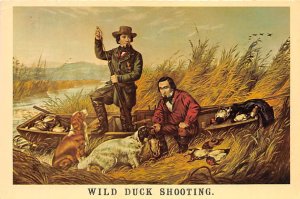 Wild Duck Shooting Wild Duck Shooting, Picture