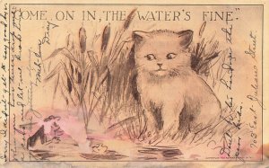 1910 NUTHER & HENLEY Come On In, The Water's Fine Kitten Postcard San Jose