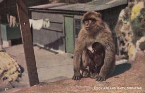 Rock Ape & Baby Vintage Gibraltar Postcard