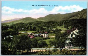 Vtg Waynesville North Carolina NC Balsam Range Farm Blue Ridge Mountain Postcard