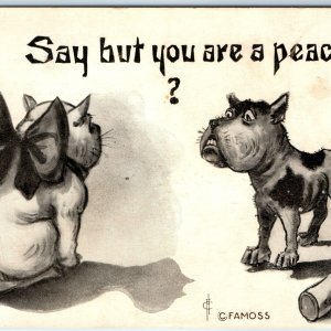 c1910s Ugly Fat Dog Art Say But You Are Peach? Puppy Card Famoss FA Moss A172