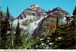 Mount Sir Donald Glacier National Park BC British Columbia Vintage Postcard D36