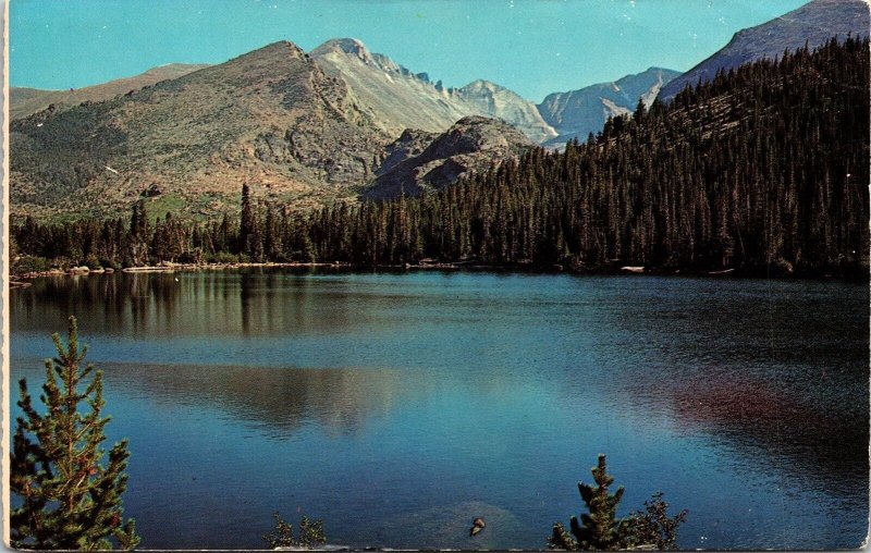 Bear Lake Longs Peak Mountains Postcard VTG UNP Plastichrome Vintage Unused  