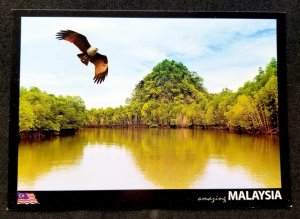 [AG] P180 Malaysia Kedah Langkawi Tourism Eagle Feeding Bird (postcard) *New