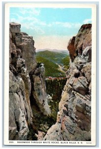 Black Hills South Dakota Postcard Deadwood White Rocks Scenic View c1920 Antique