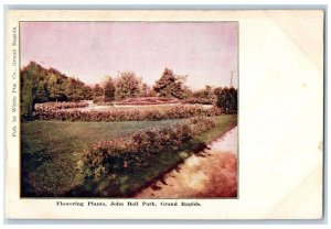 c1905 Flowering Plants John Ball Park Grand Rapids Michigan MI Antique Postcard