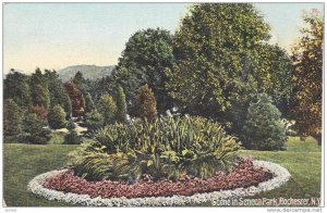 Garden, Scene In Seneca Park, Rochester, New York, 1900-1910s