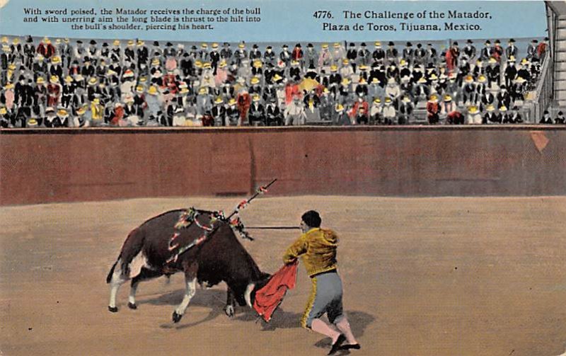 The Callenge of the Matador, Plaza de Toros Tarjeta Postal Bullfighting Unused 