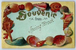 Spring Brook Wisconsin WI Postcard Seashells Border Embossed c1910's Antique